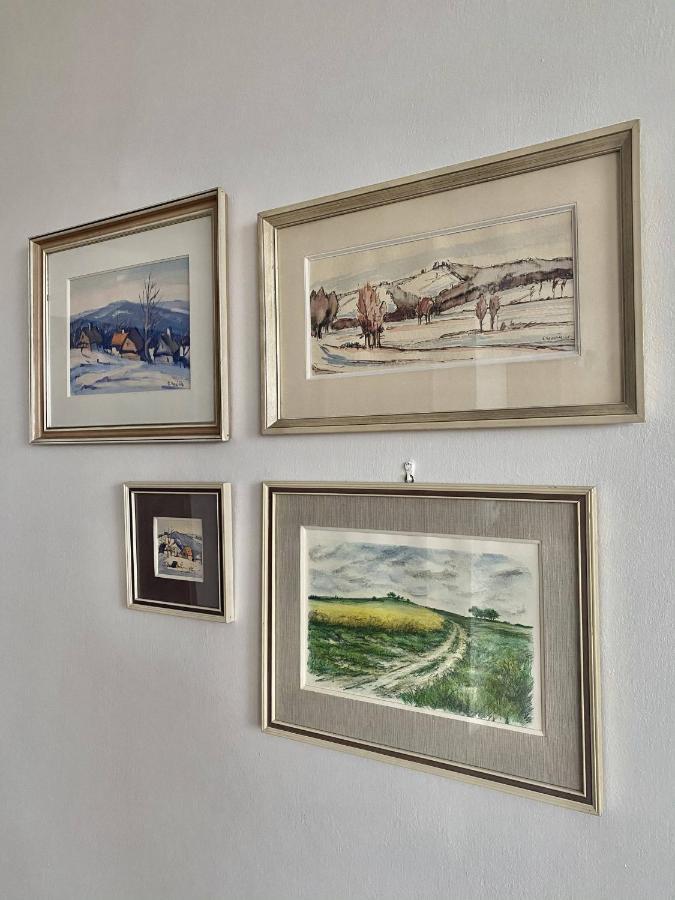 Prazdninovy Dum Holubka Villa Nove Mesto na Morave Luaran gambar